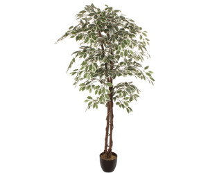 Dirbtinis augalas FICUS 1.80m